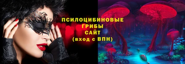 стаф Беломорск