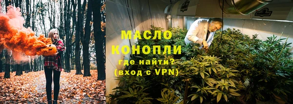 спайс Галич