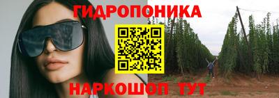 круглые Лесосибирск