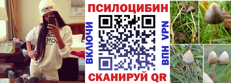 купить Губкинский Галлюциногенные грибы MAGIC MUSHROOMS