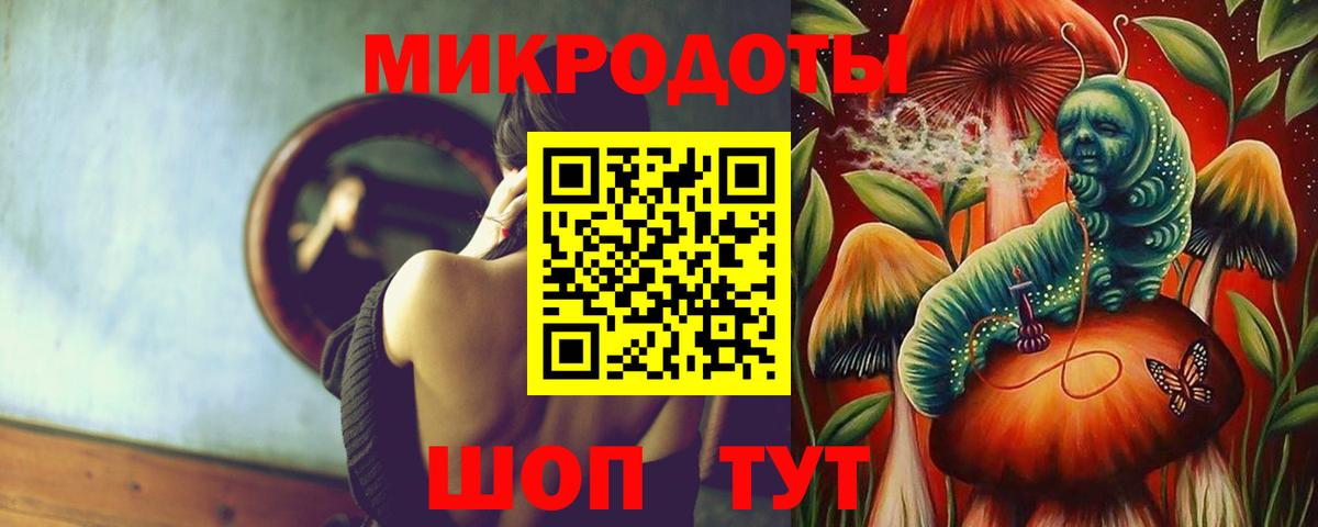 Галлюциногенные грибы Psilocybine cubensis Губкинский