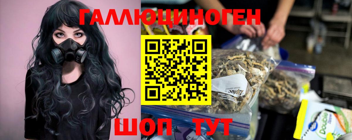 Губкинский  Псилоцибиновые грибы GOLDEN TEACHER  Вход с VPN 